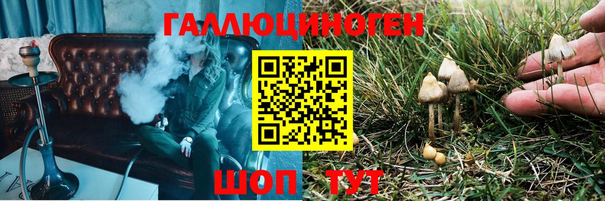 Мичуринск  Галлюциногенные грибы GOLDEN TEACHER  Вход с VPN 
