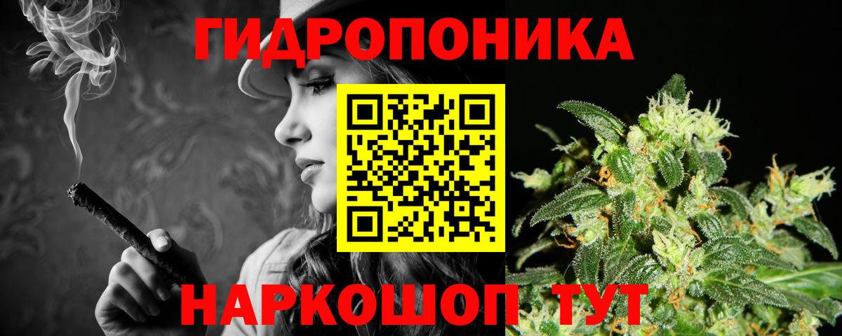Бошки марихуана Amnesia  МАРИХУАНА гибрид  Мичуринск  Каннабис планчик  Вход с VPN  Бошки марихуана VHQ 